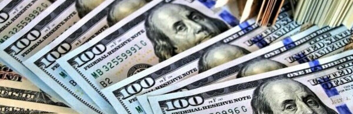 “Долар приголомшив раптово всіх в Україні відразу, ніхто не готувався до такого курсу валют”