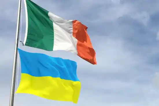 Ірландія відправить 30 інструкторів для тренувань українців із вогневої підготовки