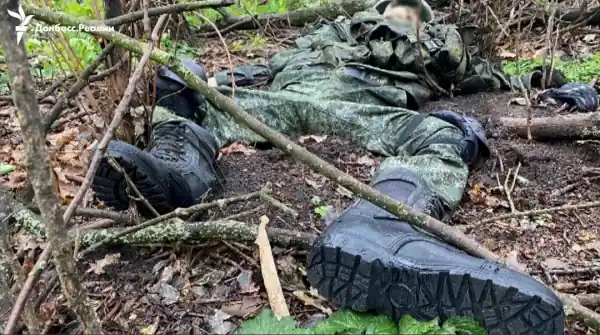 Тарнавський: На Таврійському напрямку за добу росіяни втратили 269 військових