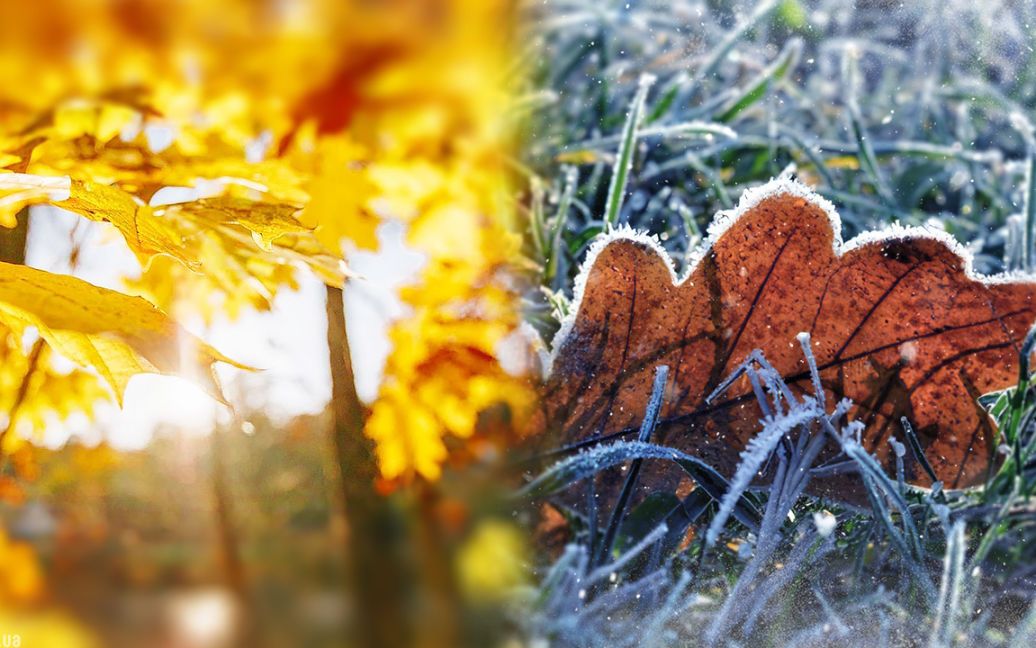 Ексклюзивний прогноз погоди на жовтень в Україні: коли очікувати снігу і заморозків