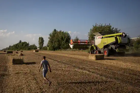 Україна подасть позов до СОТ через заборону Польщі, Угорщини та Словаччини імпорту зерна