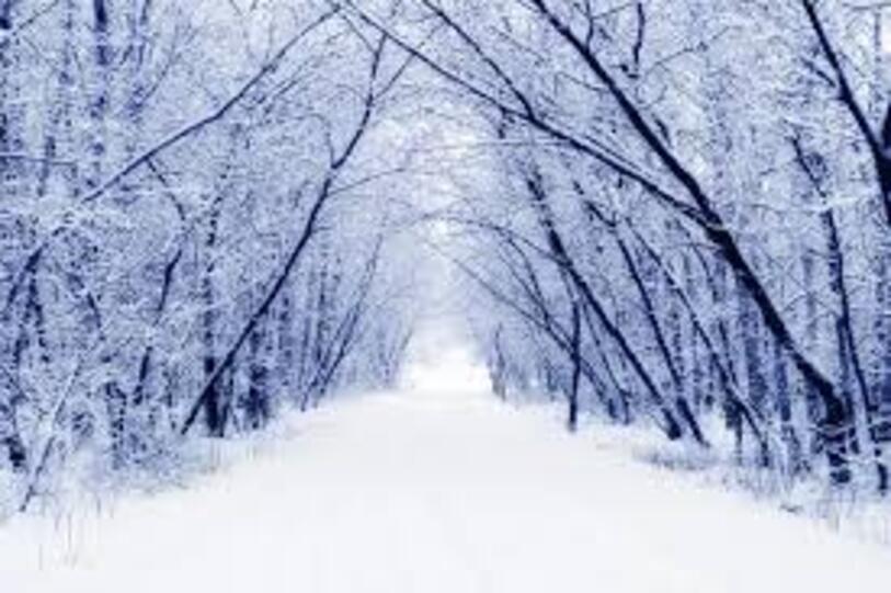 “Шалений мороз повертається у цю область прямо завтра, снігопад накриє цілий регіон”: синоптики сказали про дощ