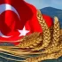 Reuters: Туреччина стане другим за величиною експортером твердої пшениці у світі після Канади