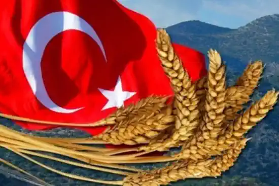 Reuters: Туреччина стане другим за величиною експортером твердої пшениці у світі після Канади