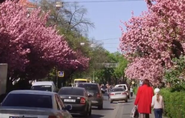 Сухо, сонячно та тепло: синоптик Діденко попередила про гарну зміну погоду