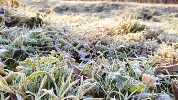 Весна збожеволіла – заморозки і не тільки, влупить до -5: синоптики попередили про погоду