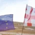 Спікери парламентів семи країн-членів ЄС закликали Грузію відкликати закон про "іноагентів"