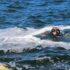 Водолази знайшли тіло дівчини: 20-річну поліцейську змило в море (ФОТО)