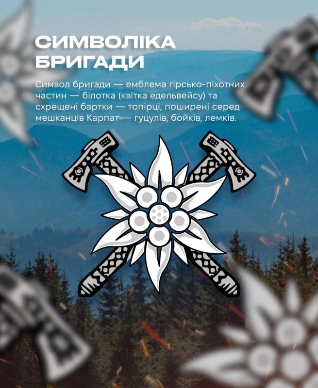 10 гірсько-штурмова бригада «Едельвейс»: долай ворогів, як Ант-Мен