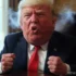 Пекар: Україна стала прикрою перешкодою для Трампа, яка не дозволяє досягти двох найбільших стратегічних цілей