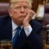 Чергові "два тижні" Трампа