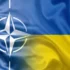 Портников: Уся зацікавленість України в НАТО базувалась на 5 статті