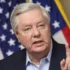 Сенатори США анонсують «тарифний хаос» для російської нафти