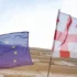 Влада Грузії ліквідує інформаційний центр НАТО і ЄС у Тбілісі